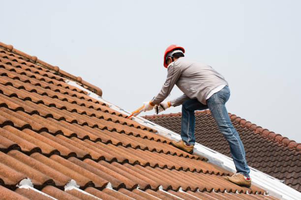 Best Green or Eco-Friendly Roofing Solutions  in Oneida, TN
