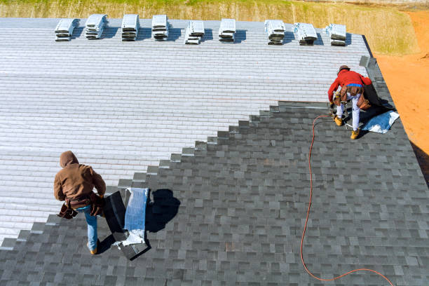 Best Solar Panel Roofing Installation  in Oneida, TN