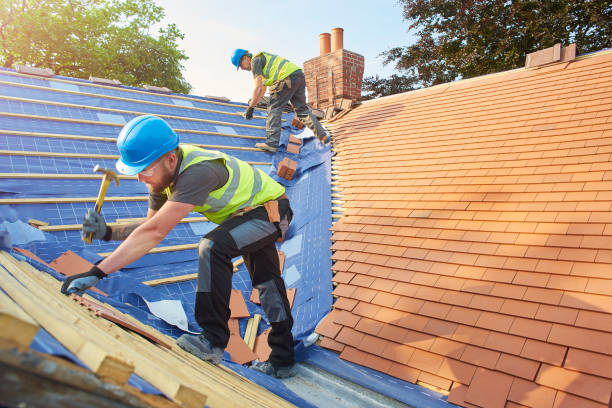 Best Sheet Metal Roofing  in Oneida, TN